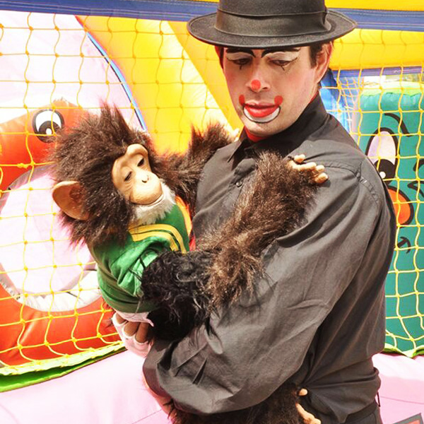 Festas: Animação para todos!